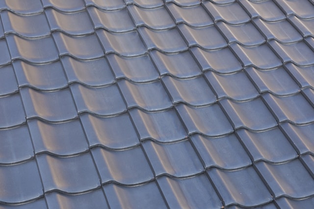 pxt00004812250701.jpg