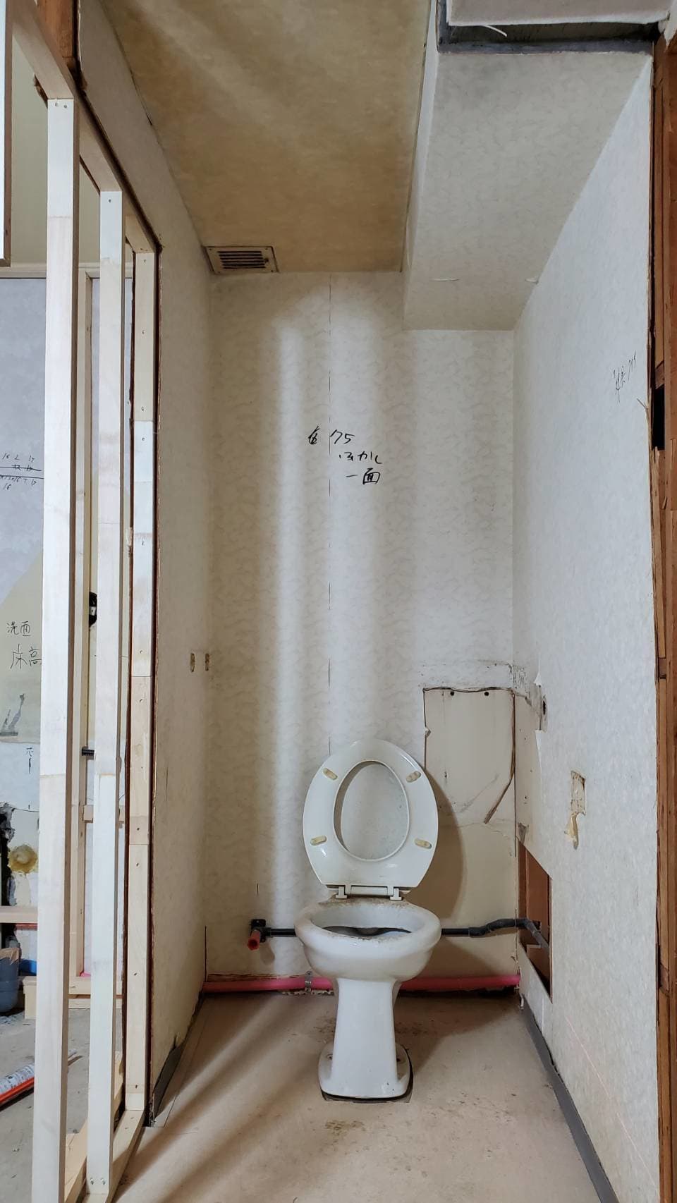 41685.jpg